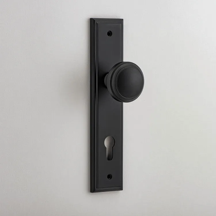 IVER PADDINGTON KNOB STEPPED BACKPLATE