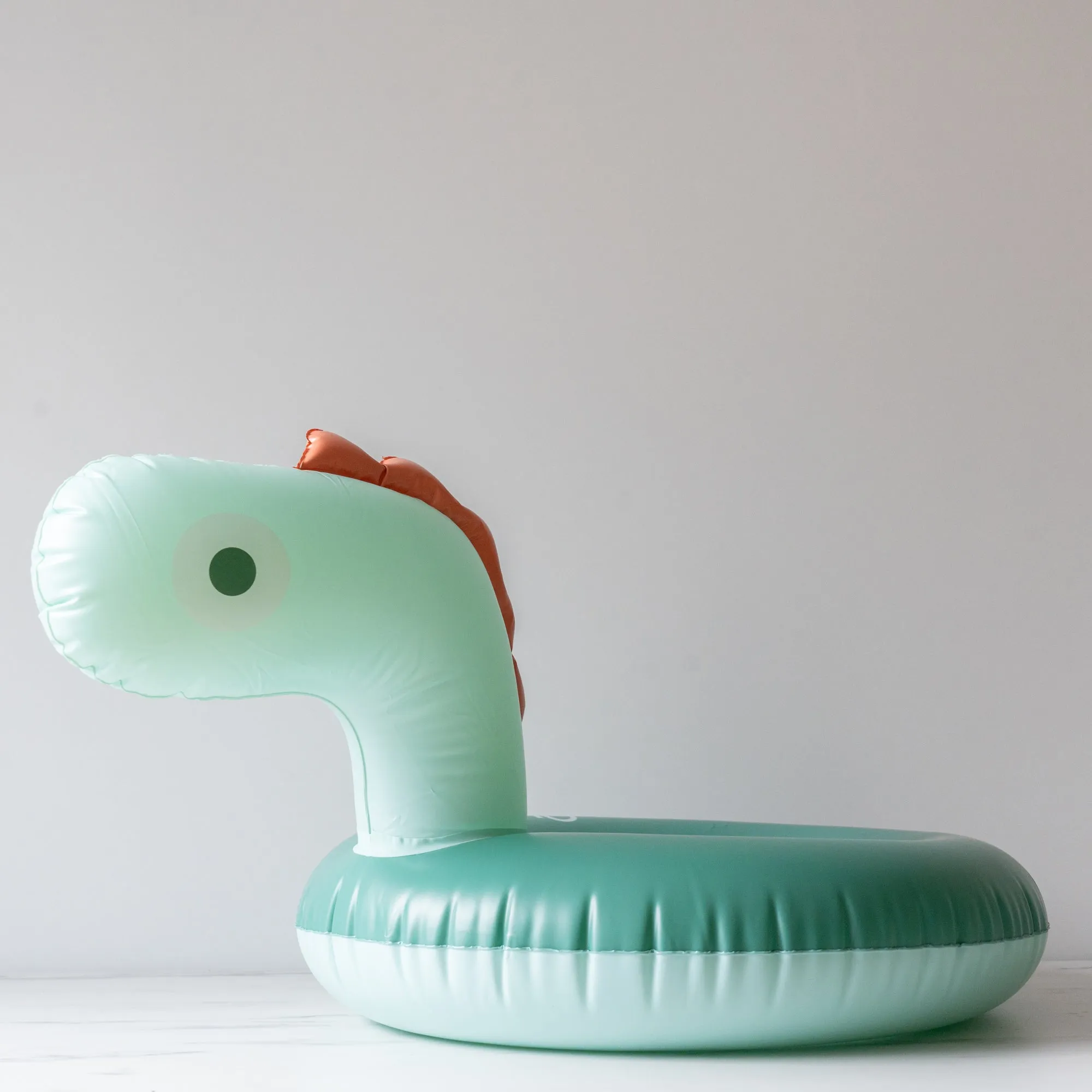 Little Dino Swim Ring