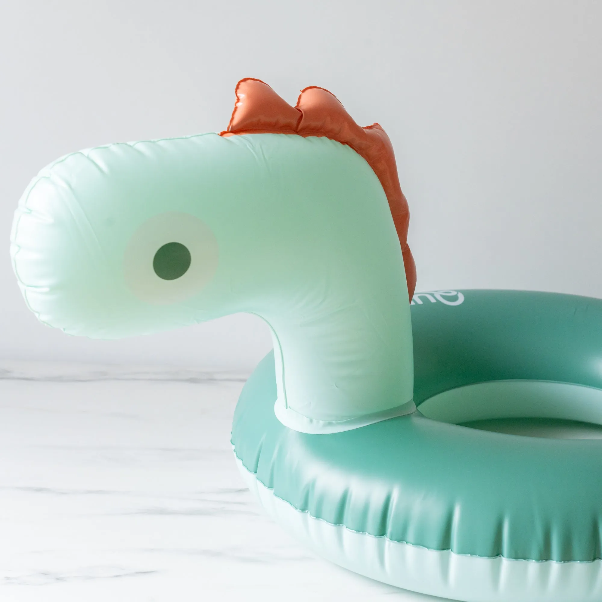 Little Dino Swim Ring