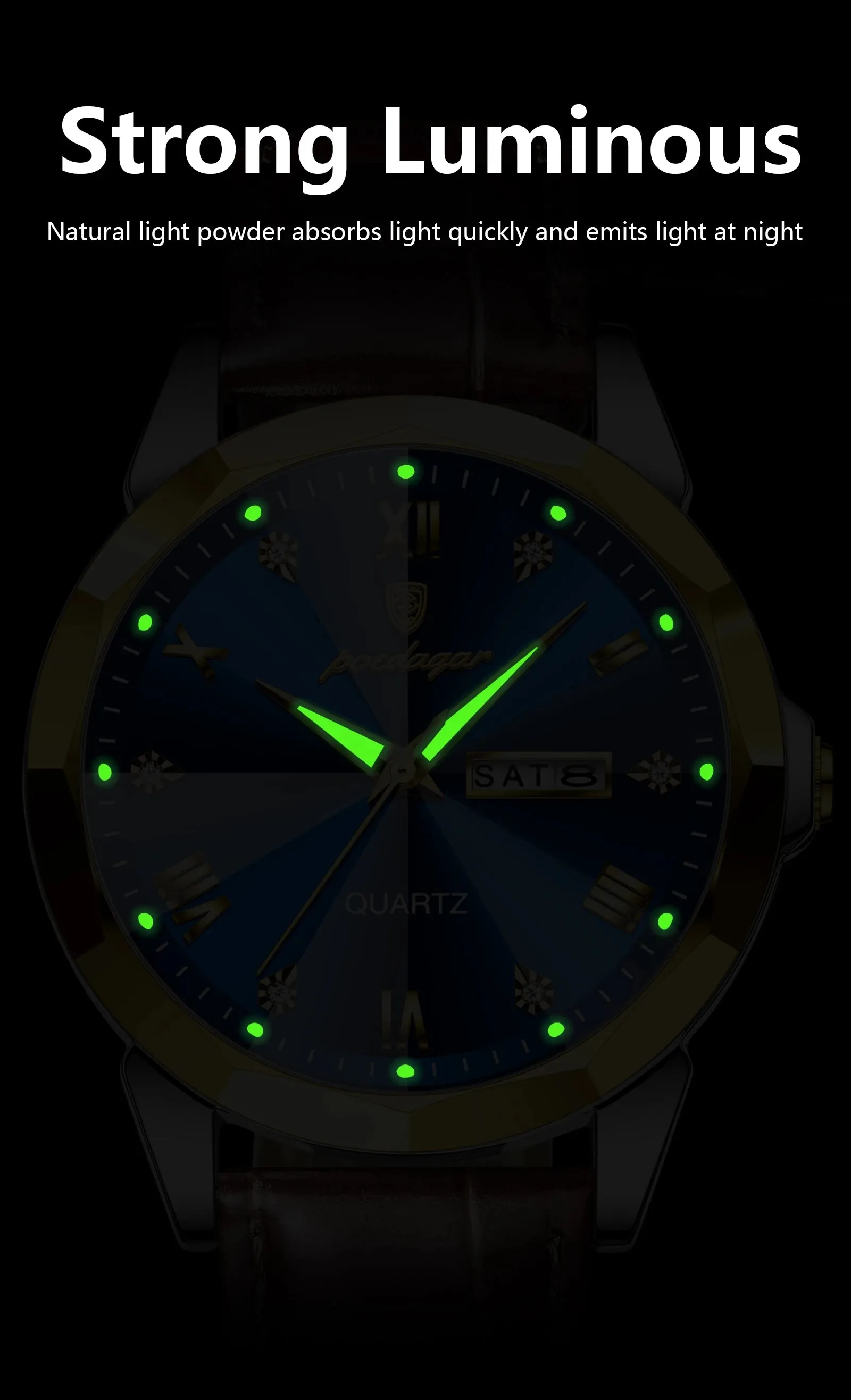 Luxury Men's Quartz Leather Watch