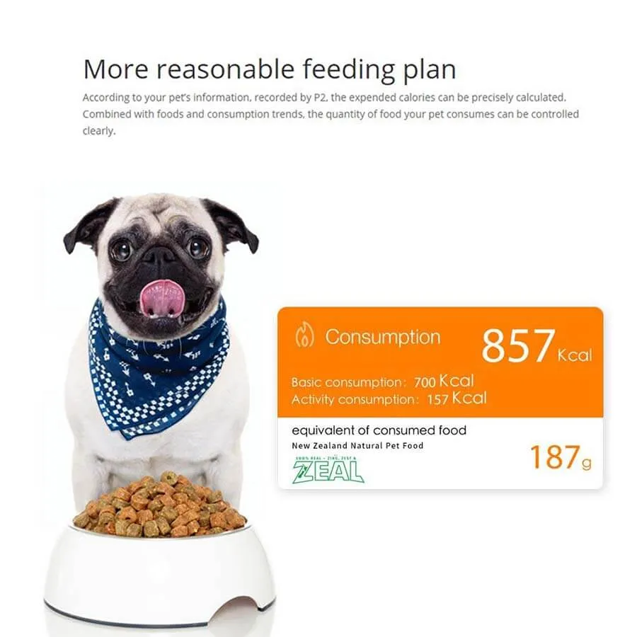 Petkit Fresh Smart Bowl Colour Ball